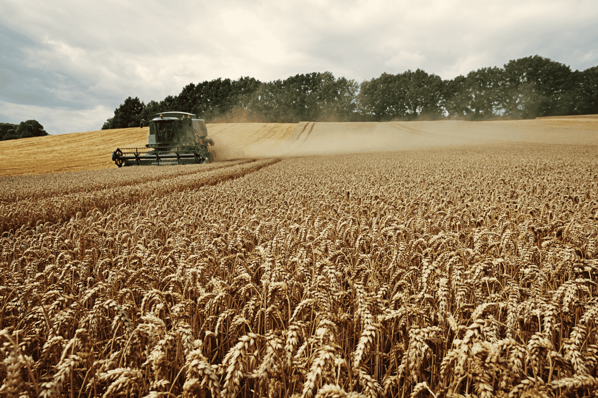 В чем важность выбора проверенных запчастей к тракторам и комбайнам
