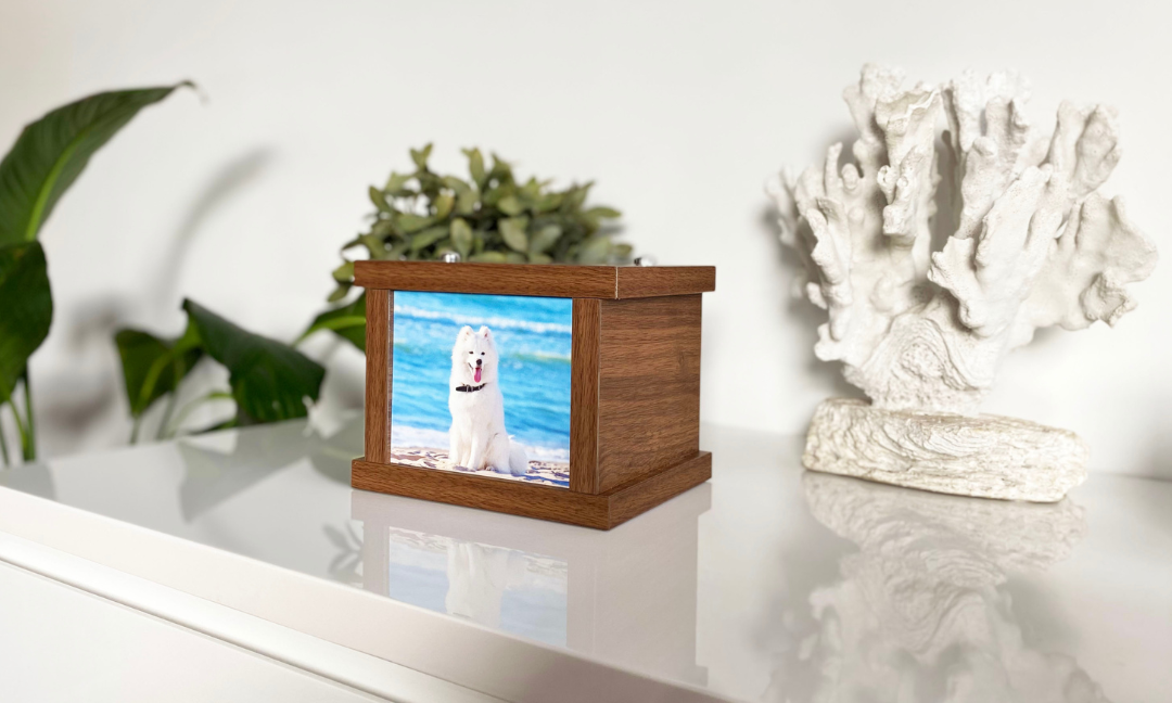 ТОП найкращих причин обрати кремацію тварин